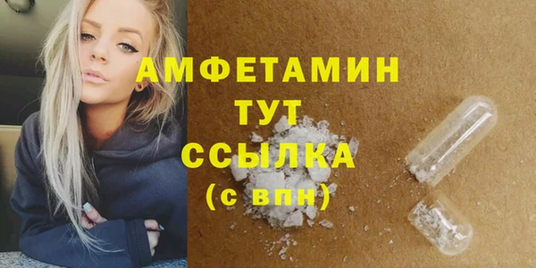 индика Пестово