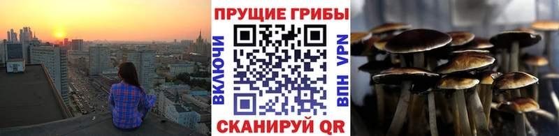 наркошоп  Камызяк  Галлюциногенные грибы ЛСД 