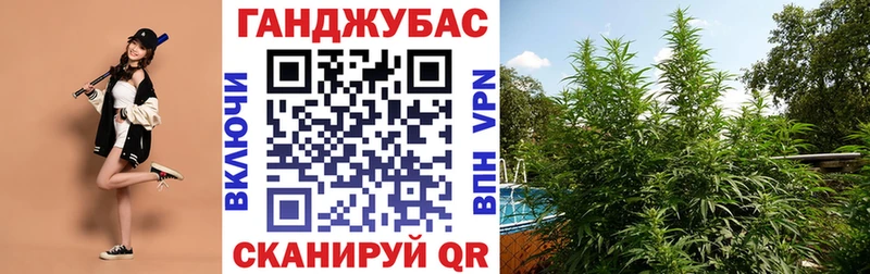 МАРИХУАНА MAZAR  ОМГ ОМГ ССЫЛКА  Камызяк 